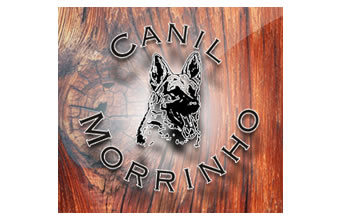 Canil Morrinho - Foto 1