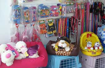 Casa Pet - Foto 1