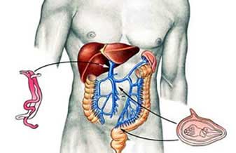 Gastroclinica - Foto 1