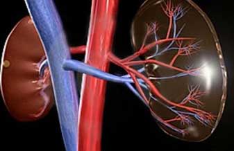 Euripedes Barsanulfo Pereira - Foto 1