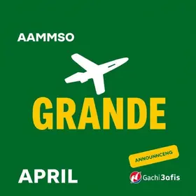 voo diário Campo Grande Minas