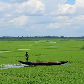 COP15 Pantanal