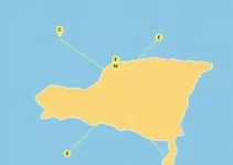 plantão de vacinação contra gripe