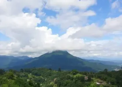 Últimas noticias de Campo Grande