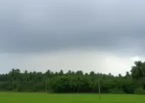 Chuva e frente fria em MS