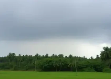 Últimas noticias de Campo Grande