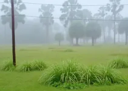 Últimas noticias de Campo Grande