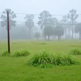 frio intenso Campo Grande