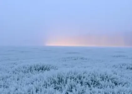 Últimas noticias de Campo Grande