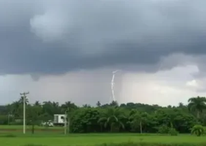Últimas noticias de Campo Grande