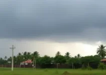 vendaval
