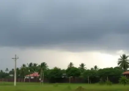 Últimas noticias de Campo Grande