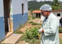 verificação de bots