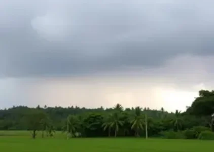 Últimas noticias de Campo Grande