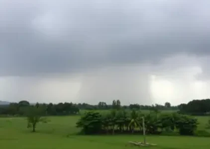 Últimas noticias de Campo Grande
