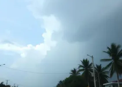Últimas noticias de Campo Grande