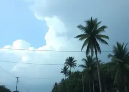 Últimas noticias de Campo Grande