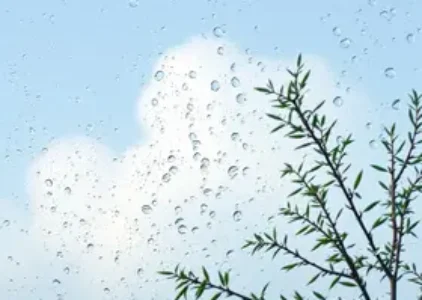 Últimas noticias de Campo Grande