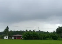 chuva em Campo Grande