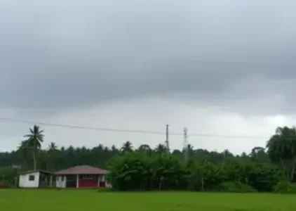 Últimas noticias de Campo Grande