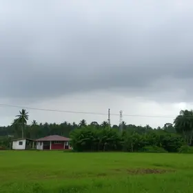 chuva em Campo Grande