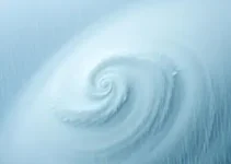 ciclone extratropical