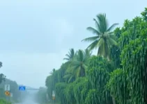feriado com chuva