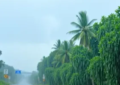 Últimas noticias de Campo Grande