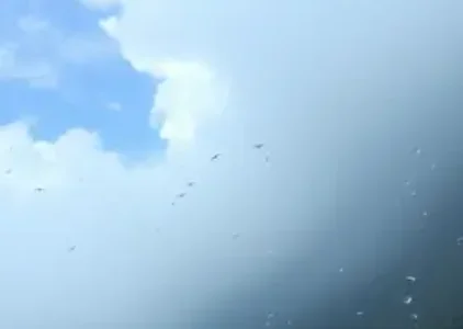 Últimas noticias de Campo Grande