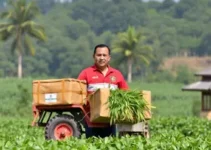 reforma agrária