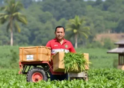 Últimas noticias de Campo Grande