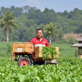 reforma agrária