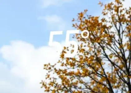 Últimas noticias de Campo Grande
