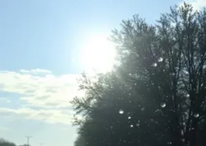 Últimas noticias de Campo Grande