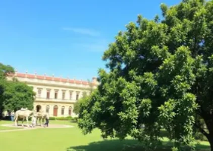 Últimas noticias de Campo Grande