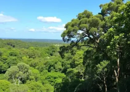 Últimas noticias de Campo Grande