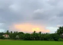 previsão do tempo em Campo Grande (MS)