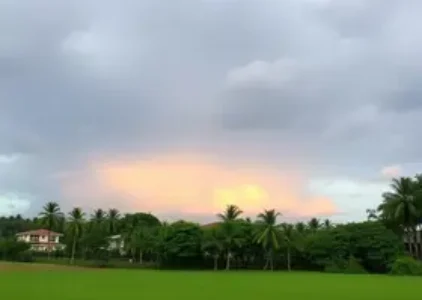 Últimas noticias de Campo Grande