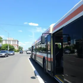 transporte público especial