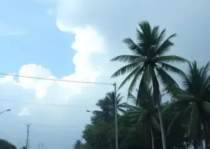 Últimas noticias de Campo Grande