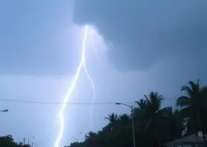 Últimas noticias de Campo Grande