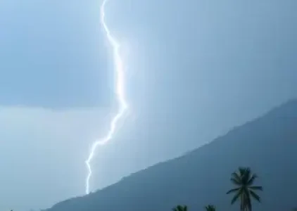 Últimas noticias de Campo Grande