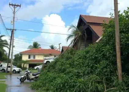 Últimas noticias de Campo Grande