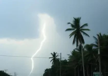 Últimas noticias de Campo Grande