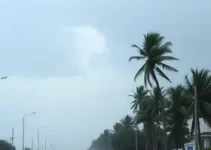 alerta laranja
