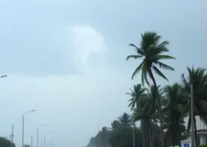 Últimas noticias de Campo Grande