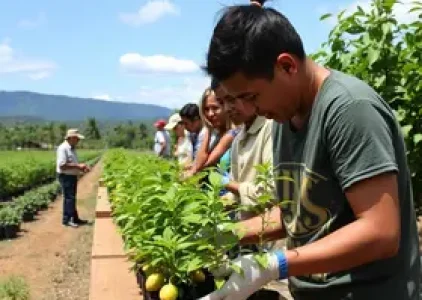 Últimas noticias de Campo Grande