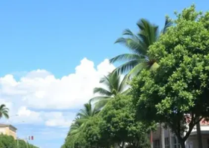 Últimas noticias de Campo Grande