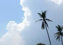 bloqueio temporário