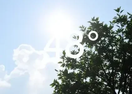 Últimas noticias de Campo Grande